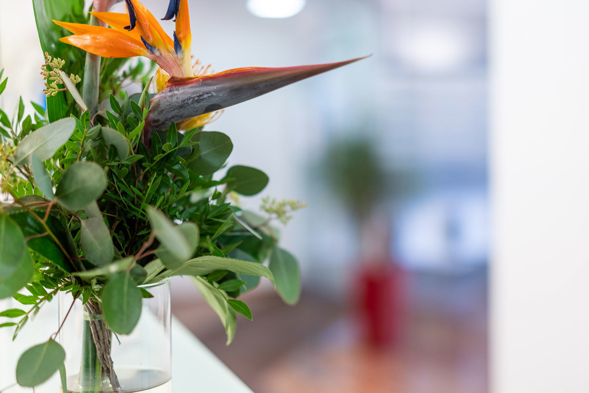 Am Empfang unserer Zahnarztpraxis in Regensburg erwartet Sie ein Strau&szlig; frischer Blumen